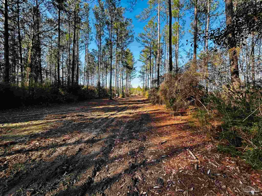 Lot 407 Country Mill Rd, Jay, FL 32565 - #3