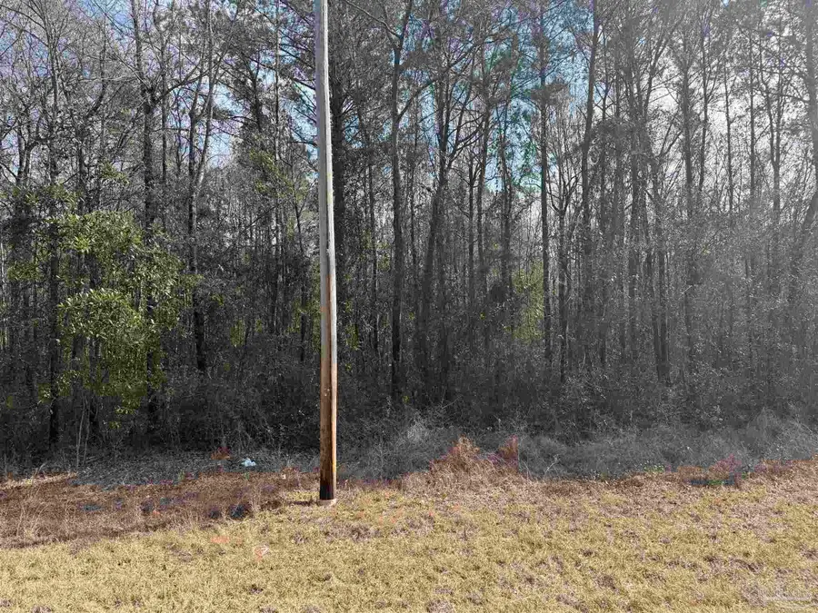 00 Hwy 41, Range, AL 36473 - Image #2