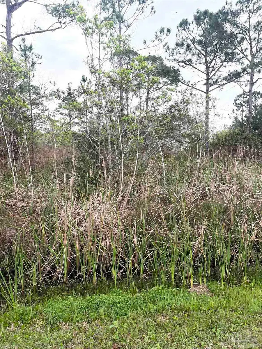 5500 BLK Bob-o-link Rd, Pensacola, FL 32507 - Image #3