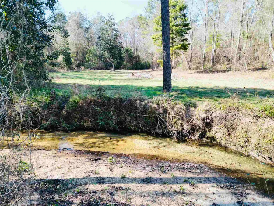 01 Cowpen Creek Rd, Atmore, AL 36502 - Image #2
