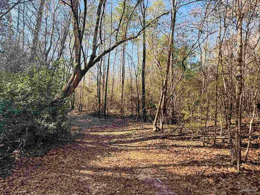 01 Cowpen Creek Rd, Atmore, AL 36502 - Image #3