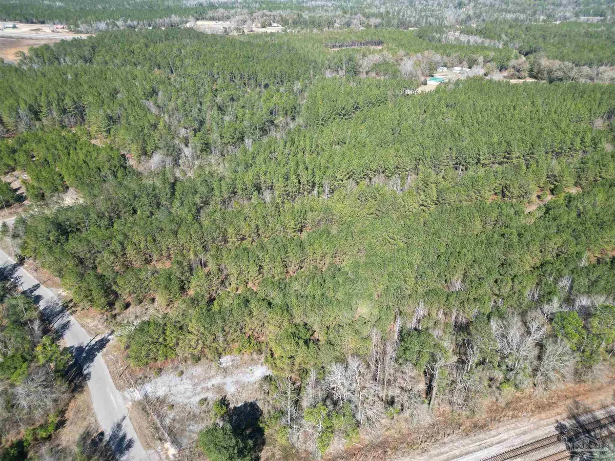 0 Old Fannie Rd, Flomaton, AL 36441 - Image #1