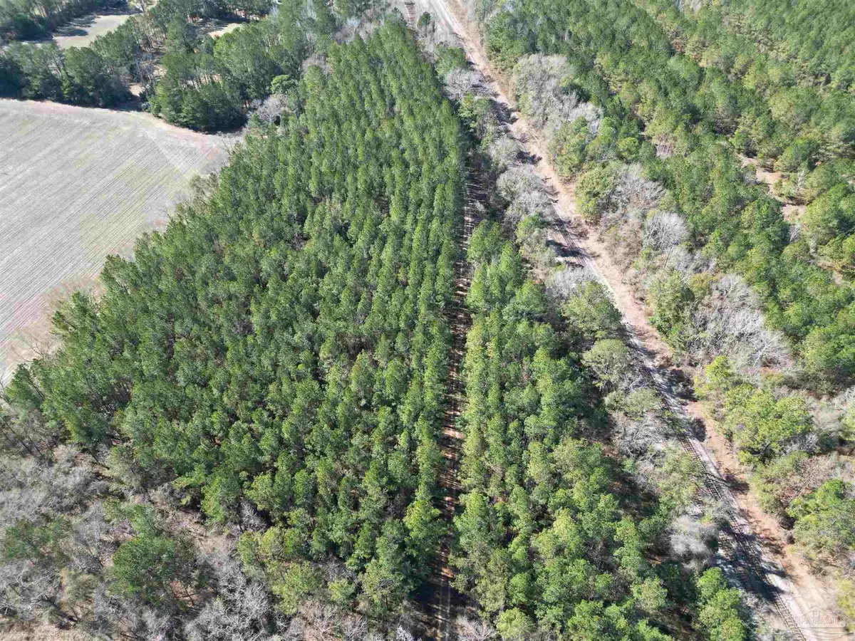 01 Clifton Ln, Flomaton, AL 36441 - Image #1