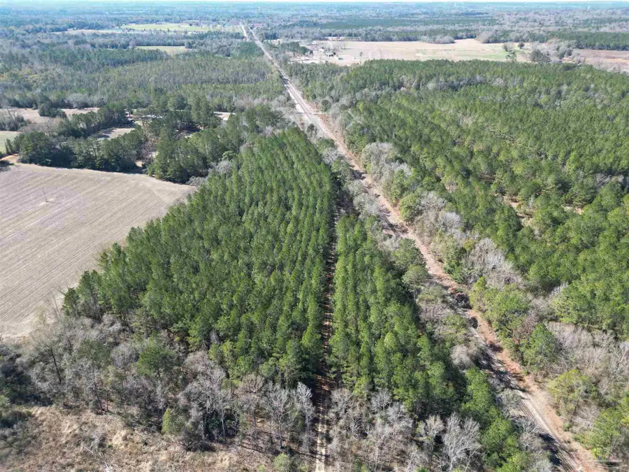 01 Clifton Ln, Flomaton, AL 36441 - Image #2