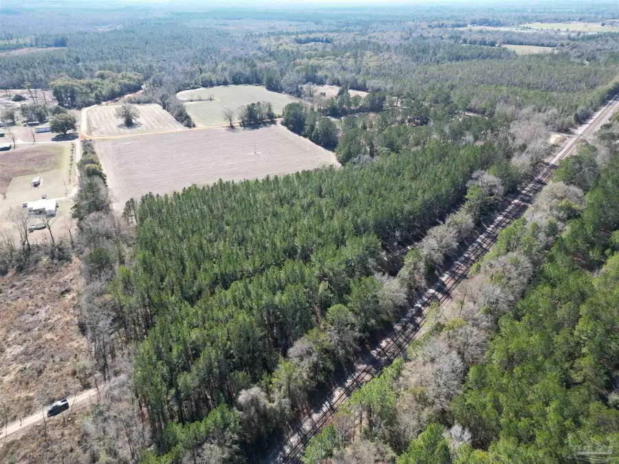 01 Clifton Ln, Flomaton, AL 36441 - Image #3