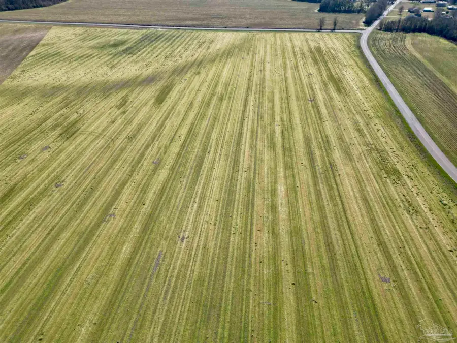 5 Cowpen Creek Rd, Atmore, AL 36502 - Image #2