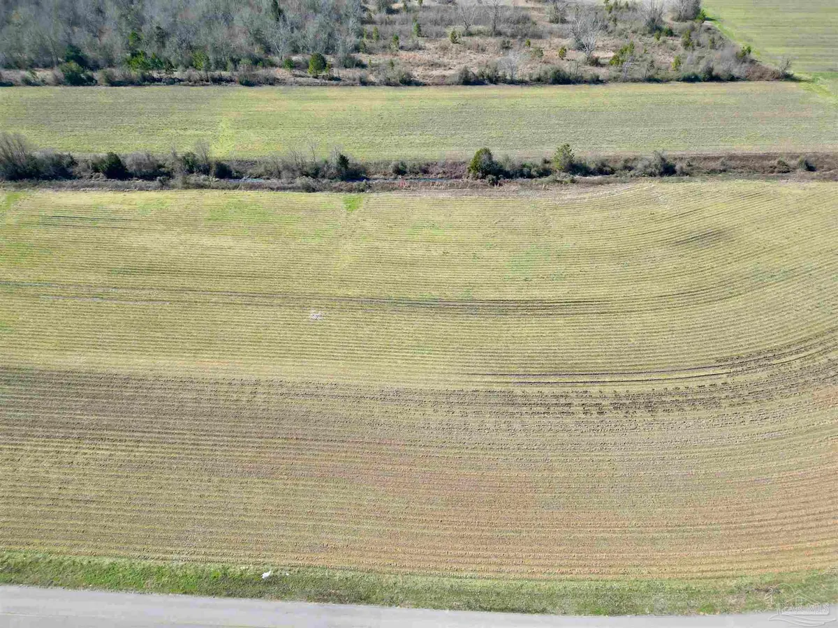 4 Cowpen Creek Rd, Atmore, AL 36502 - Image #1