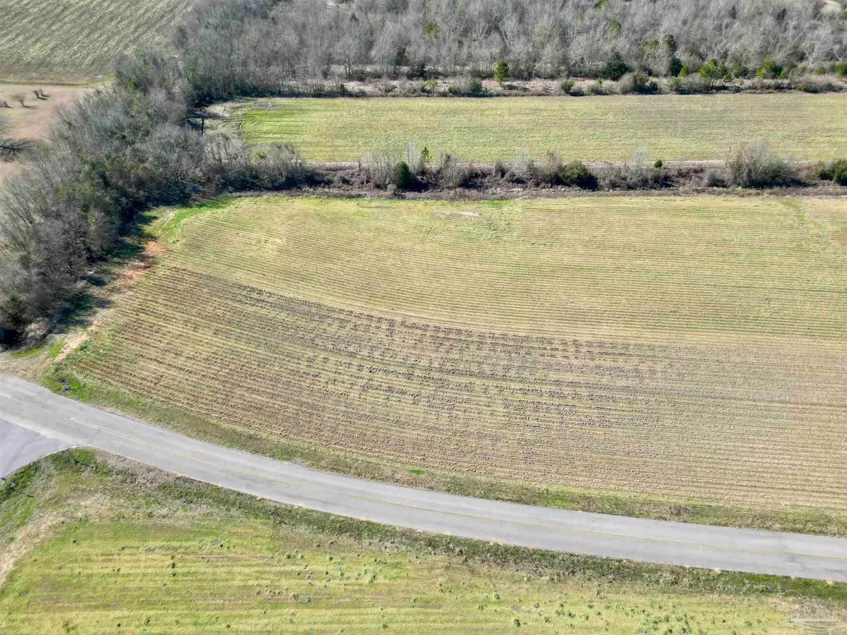 1 Cowpen Creek Rd, Atmore, AL 36502 - Image #1