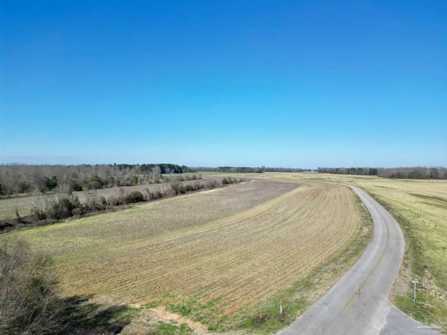 1 Cowpen Creek Rd, Atmore, AL 36502 - Image #2
