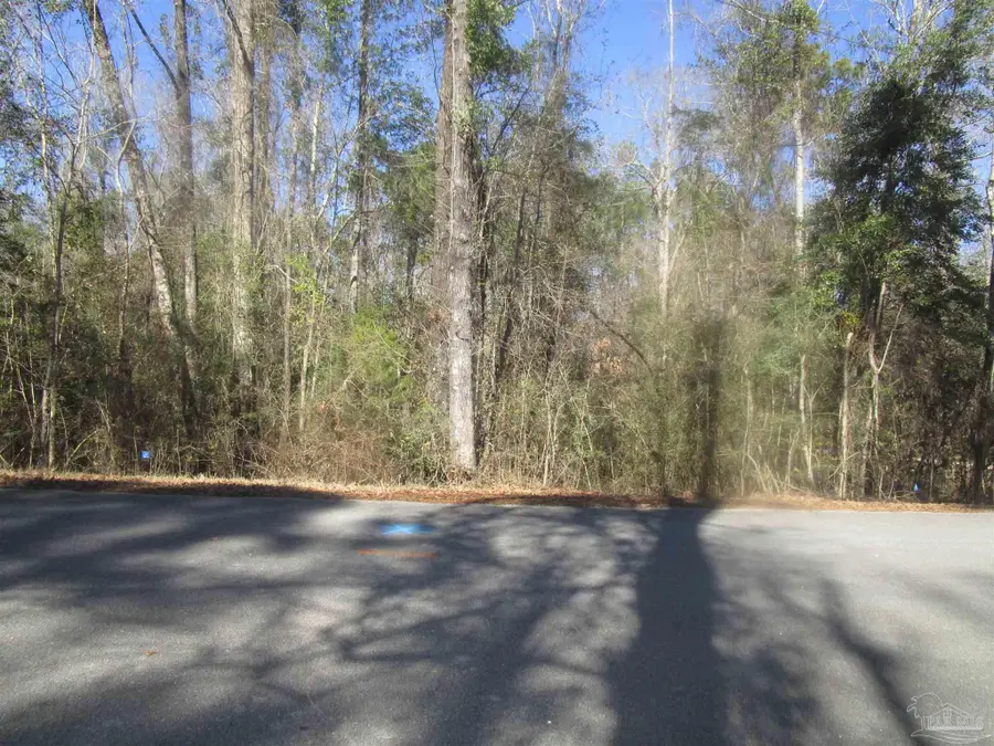 4700 White Ash Rd, Molino, FL 32577 - #2