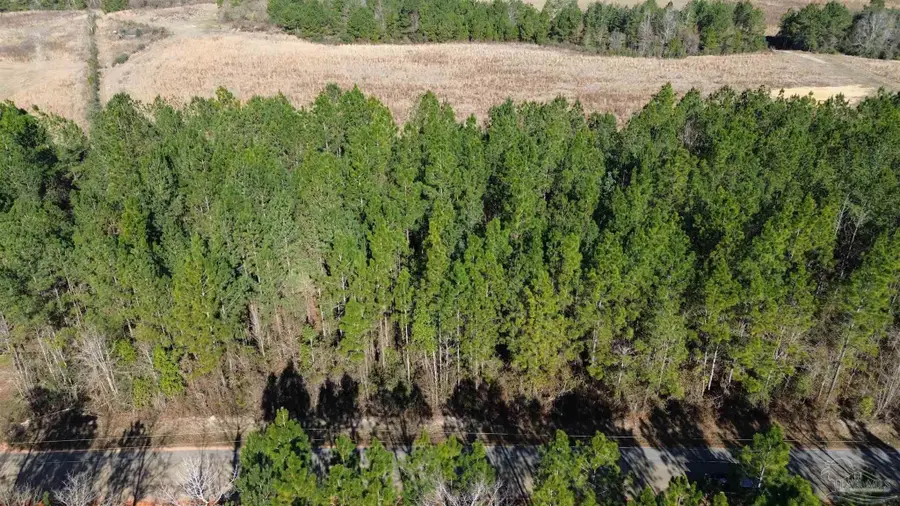 Lot 43 Mineral Springs Rd, Jay, FL 32565 - #2