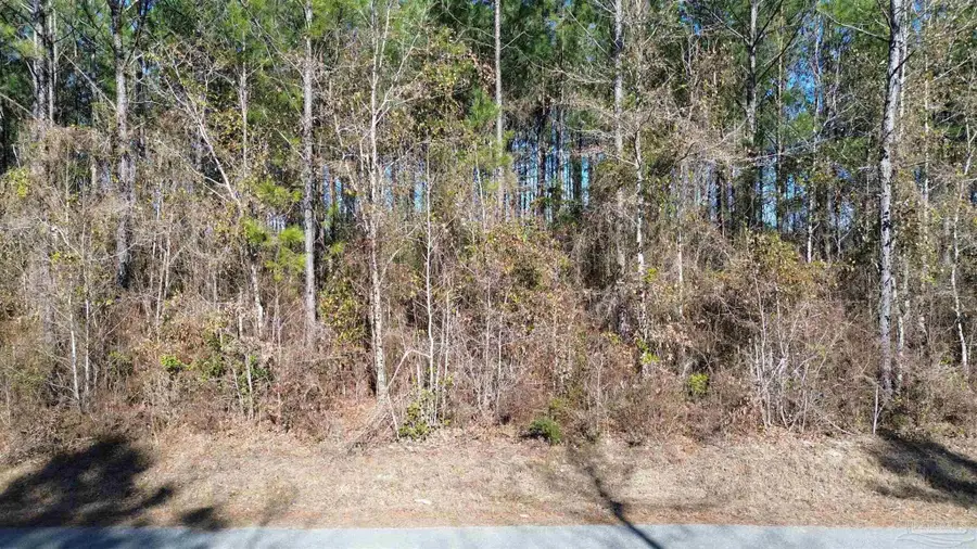 Lot 44 Mineral Springs Rd, Jay, FL 32565 - #2