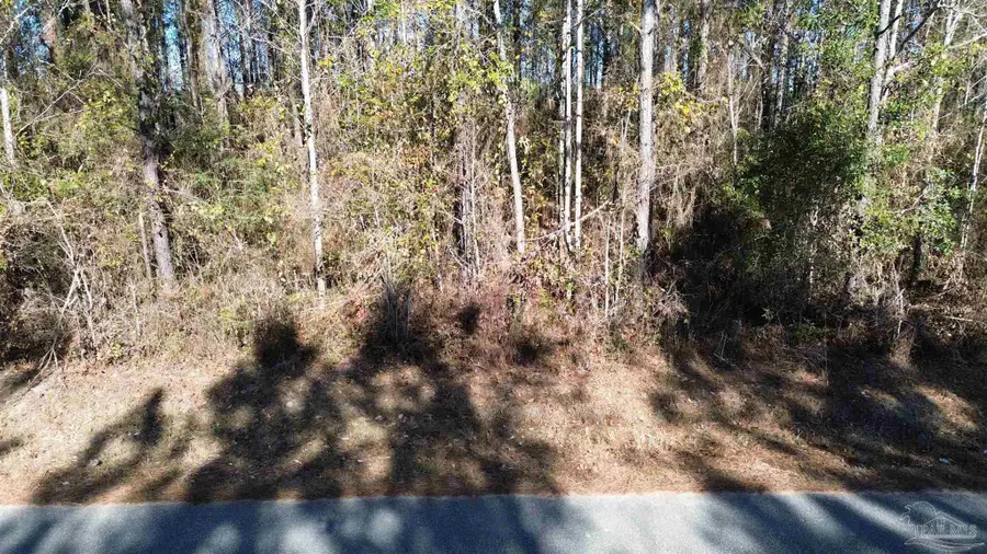 Lot 45 Mineral Springs Rd, Jay, FL 32565 - #2