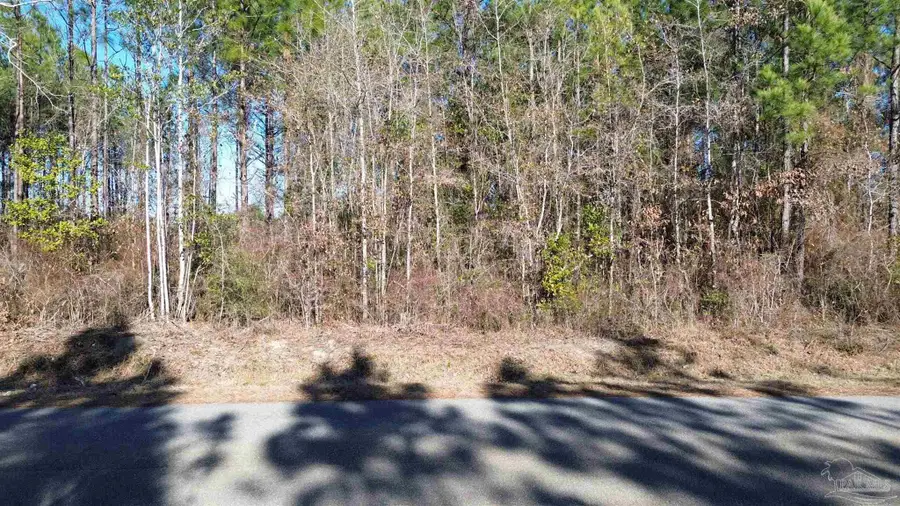 Lot 46 Mineral Springs Rd, Jay, FL 32565 - #2