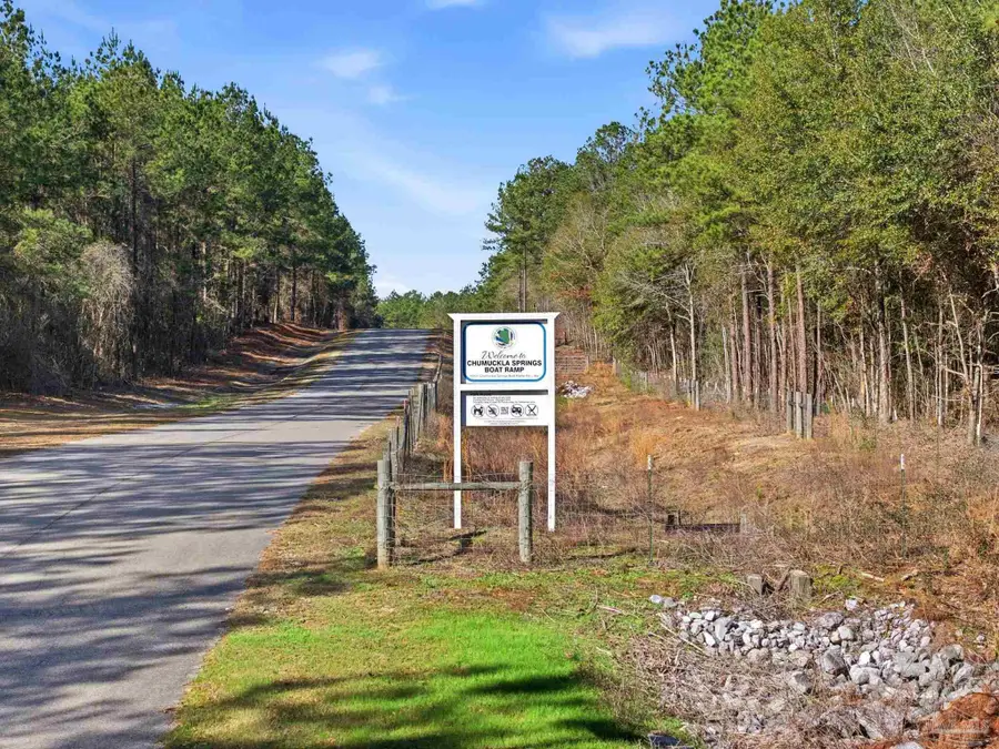 Lot 47 Mineral Springs Rd, Jay, FL 32565 - #3