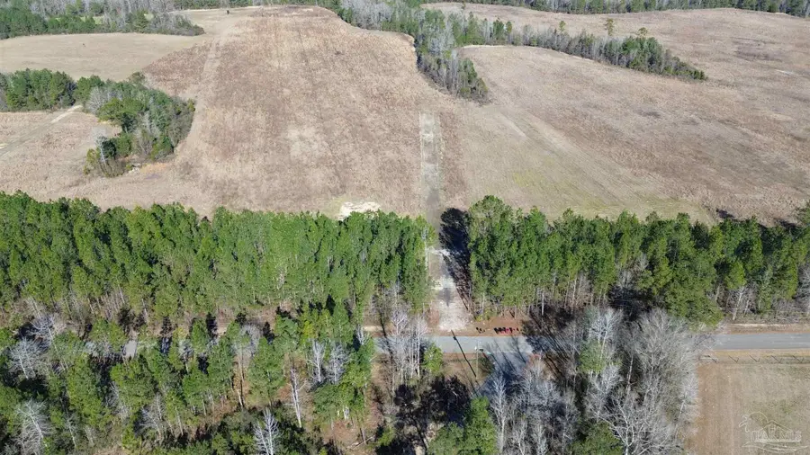 Lot 57 Mineral Springs Rd, Jay, FL 32565 - #3