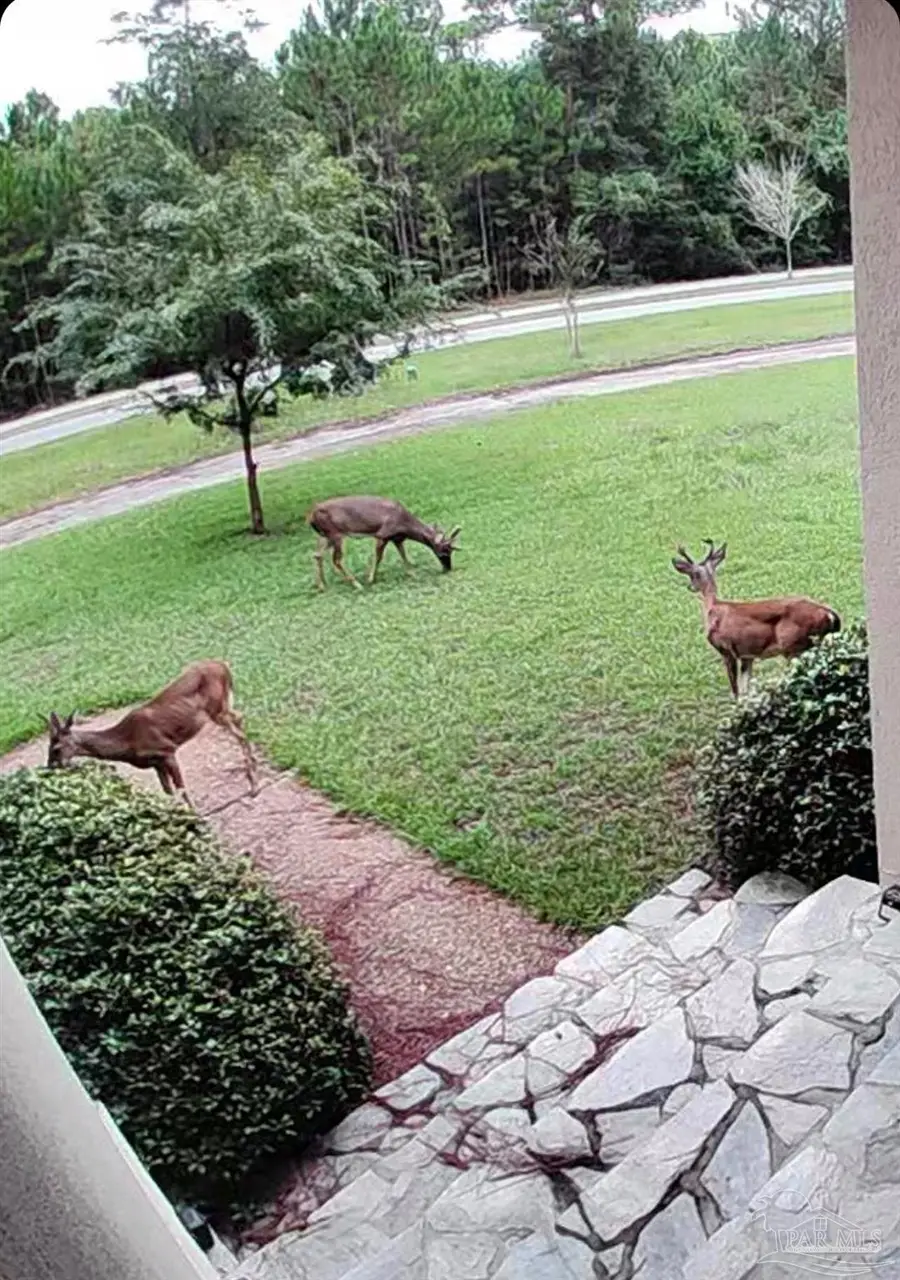 4356 Judges Bayou, Milton, FL 32583 - #3