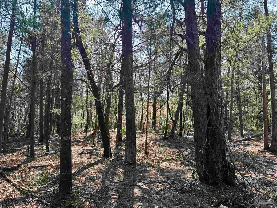 3700 Vantage Rd, Cantonment, FL 32533 - #3