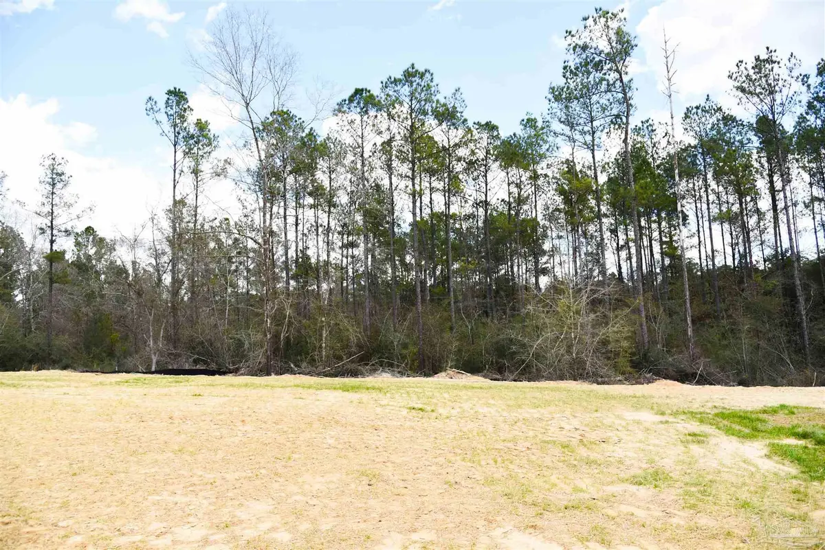 Lot 1 Creek Bluff Dr, Pace, FL 32571 - #1
