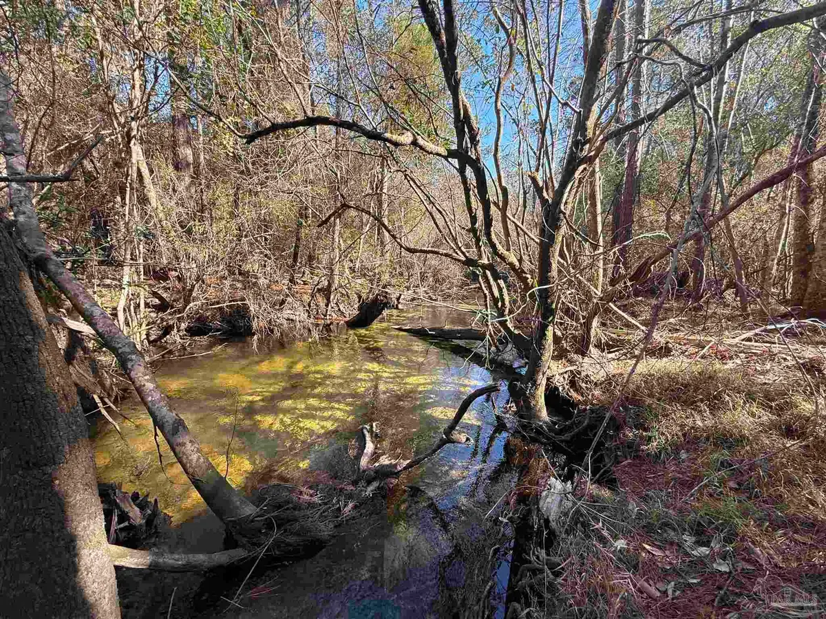 Lot 22 Creek Bluff Dr, Pace, FL 32571 - #1
