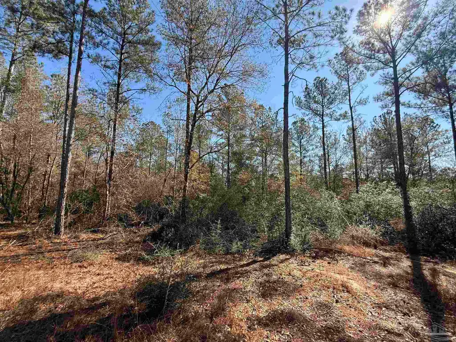 Lot 3 Creek Bluff Dr, Pace, FL 32571 - #2