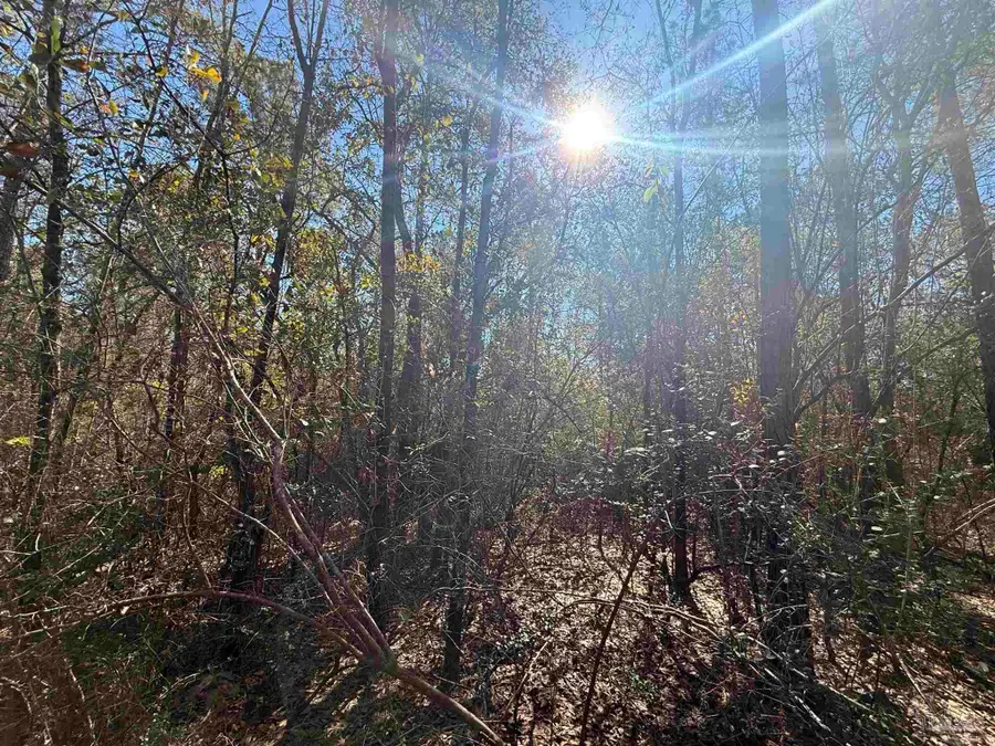 Lot 3 Creek Bluff Dr, Pace, FL 32571 - #3