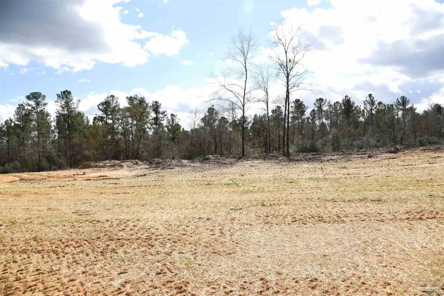 Lot 5 Creek Bluff Dr, Pace, FL 32571 - #3