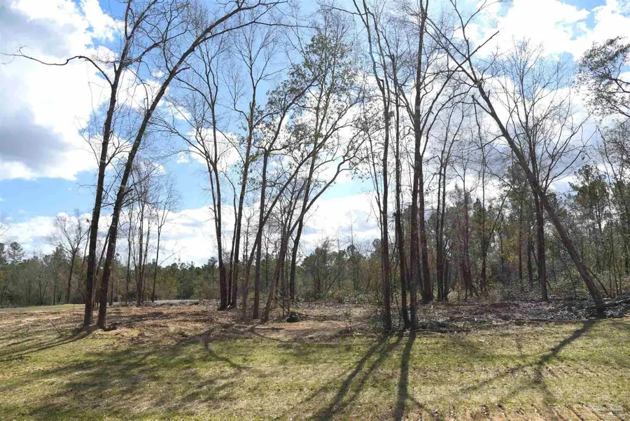 Lot 8 Creek Bluff Dr, Pace, FL 32571 - #2