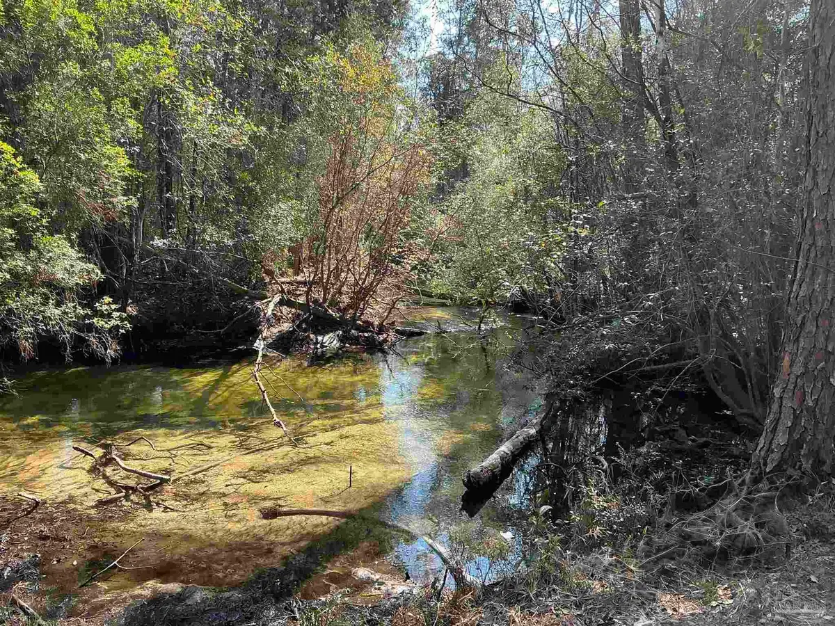 Lot 10 Brook Crossing St, Pace, FL 32571 - #1