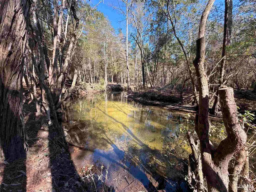 Lot 18 Brook Crossing St, Pace, FL 32571 - #3