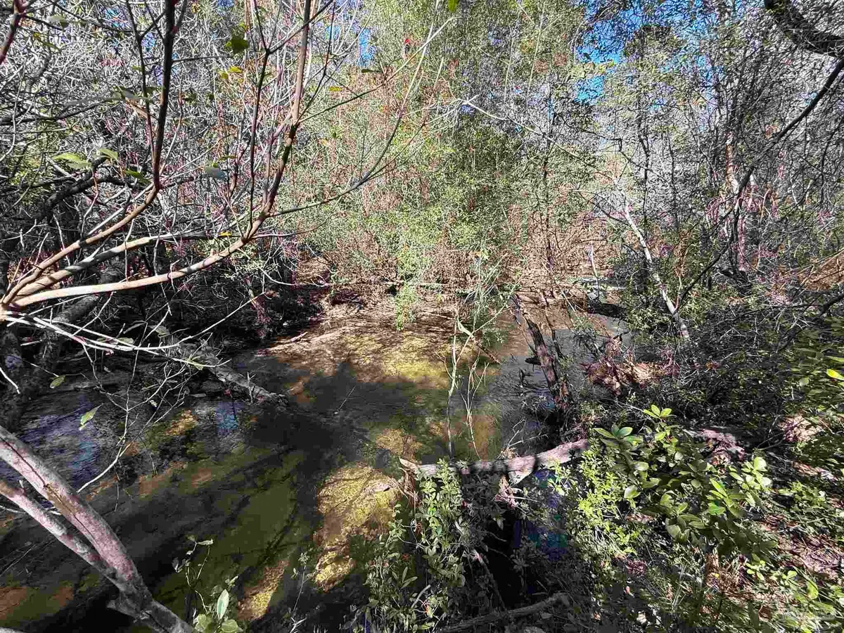 Lot 17 Brook Crossing St, Pace, FL 32571 - #1