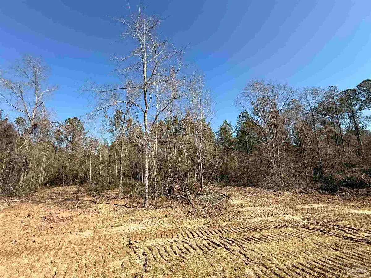 Lot 16 Brook Crossing St, Pace, FL 32571 - #1