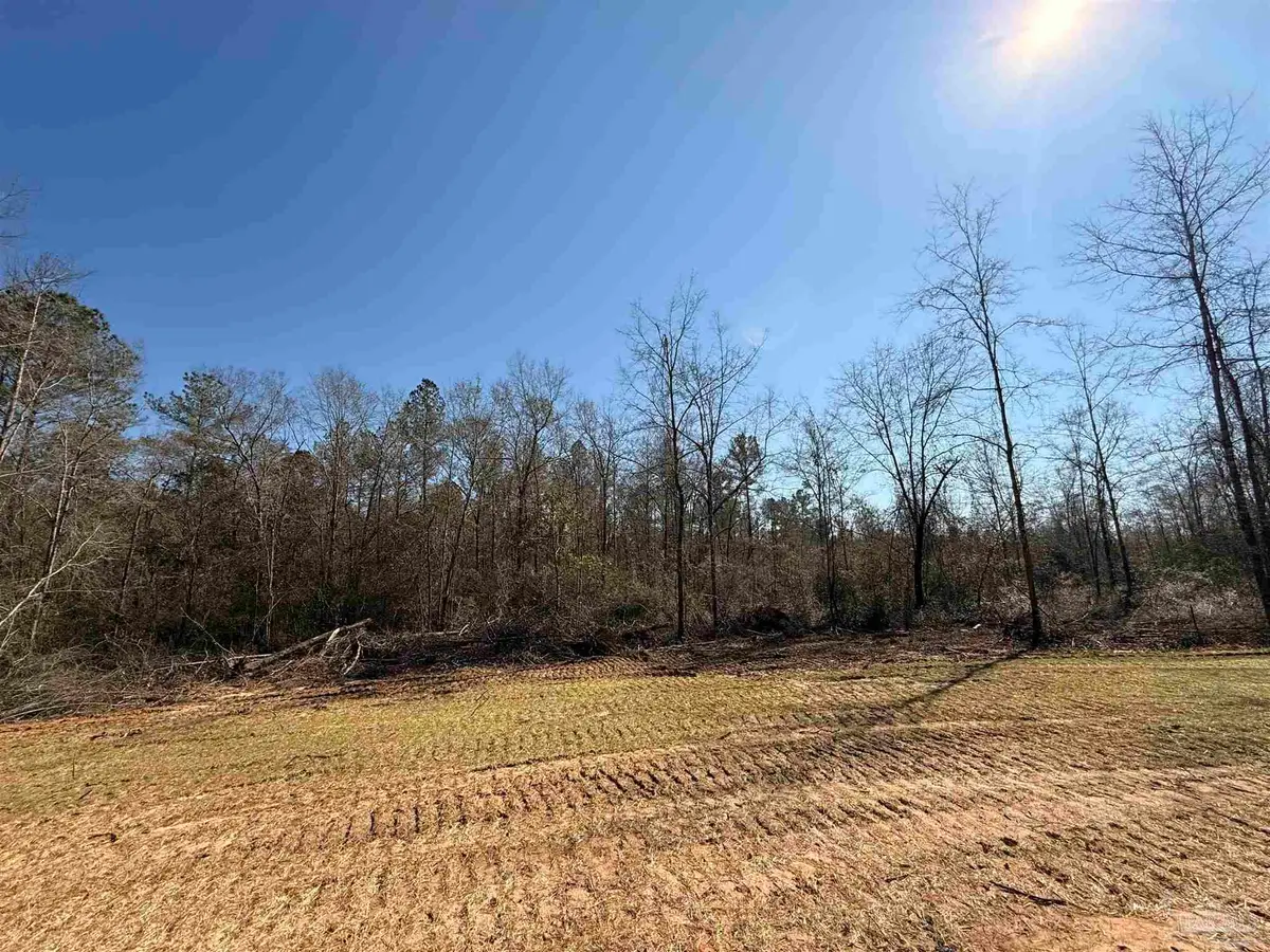 Lot 14 Brook Crossing St, Pace, FL 32571 - #1
