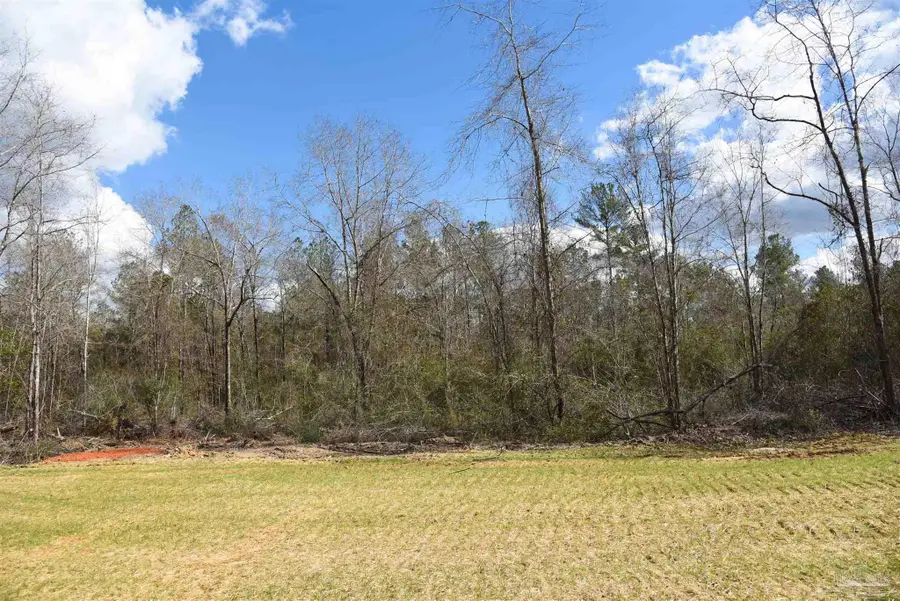 Lot 14 Brook Crossing St, Pace, FL 32571 - #3