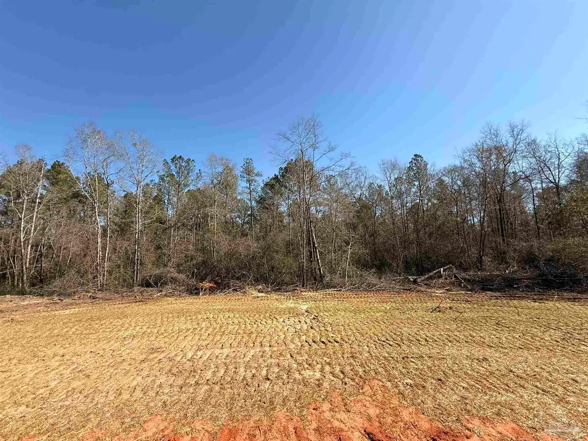 Lot 15 Brook Crossing St, Pace, FL 32571 - #1