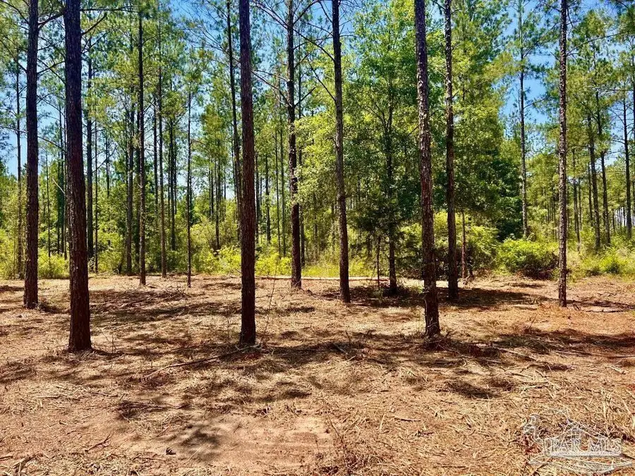 LOT 87 Pine Preserve Ln, Pace, FL 32571 - #3