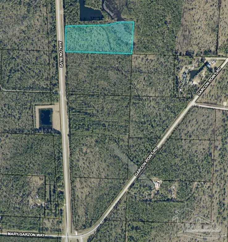 10.95 Acres Avalon Blvd, Milton, FL 32583 - #2