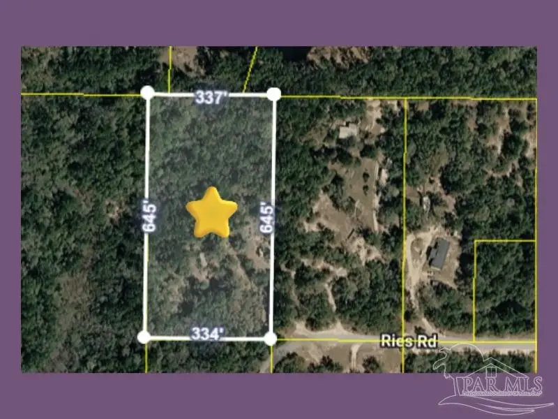 Ries Rd, Laurel Hill, FL 32567 - #1