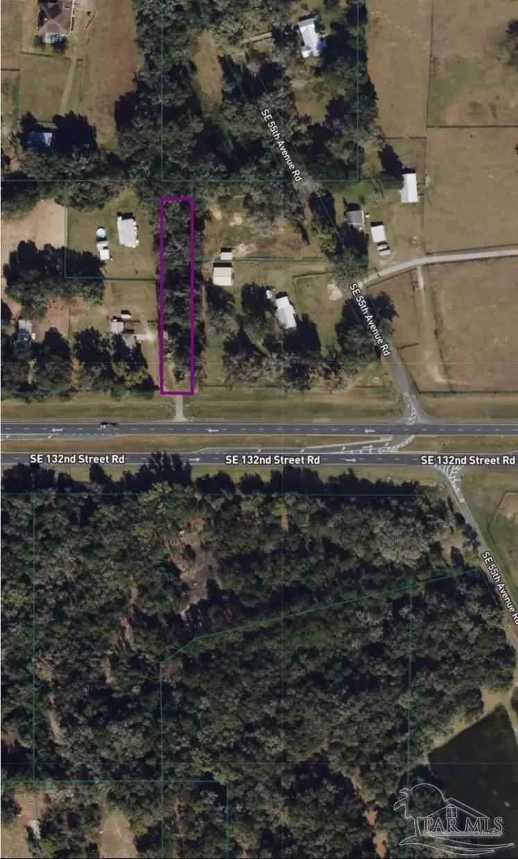 SE Se 132nd St Rd, Belleview, FL 34420 - #1