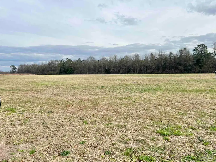 1400 Block Mexboro Rd, Frisco City, AL 36445 - #2