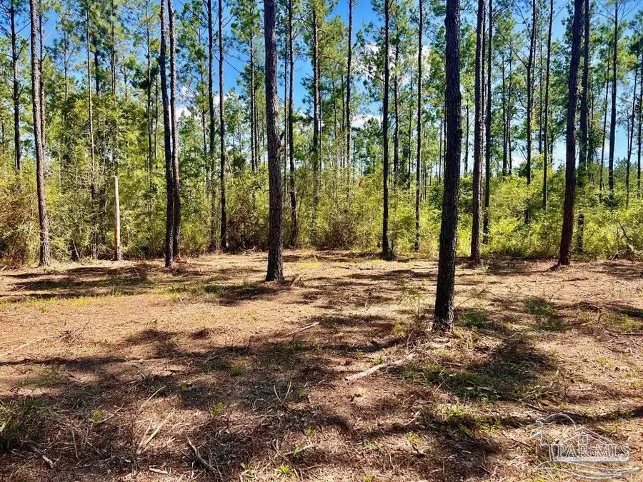 Lot 75 Naturewalk Dr, Jay, FL 32565 - #2