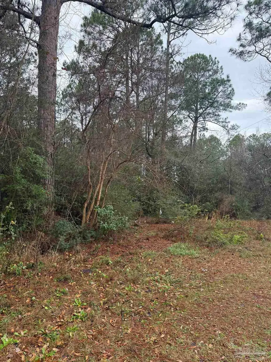 300 BLK Mier Henry Rd, Pensacola, FL 32506 - #2