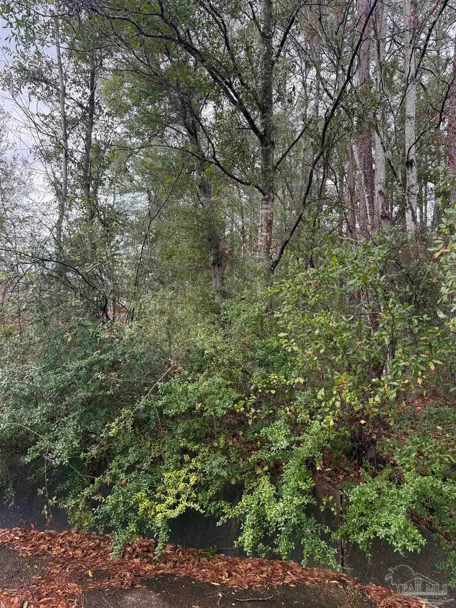 300 BLK Mier Henry Rd, Pensacola, FL 32506 - #3