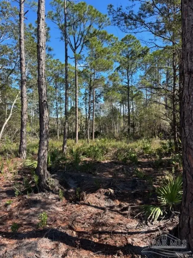 4481 Water Leaf Cv, Gulf Breeze, FL 32563 - #2