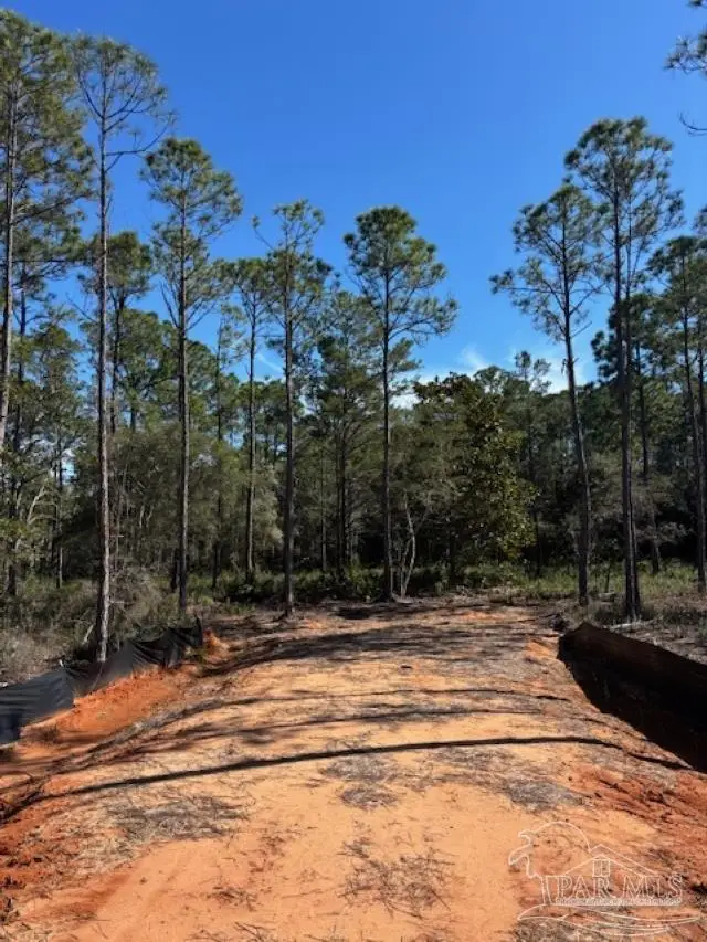 4481 Water Leaf Cv, Gulf Breeze, FL 32563 - #3