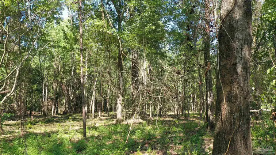 Lot 4A Johnson Rd, Atmore, AL 36502 - #2