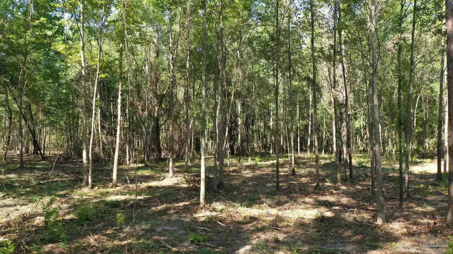 Lot 4A Johnson Rd, Atmore, AL 36502 - #3
