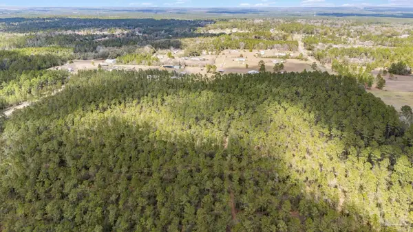 Lot #10 Bermuda Dr, Seminole, AL 36574