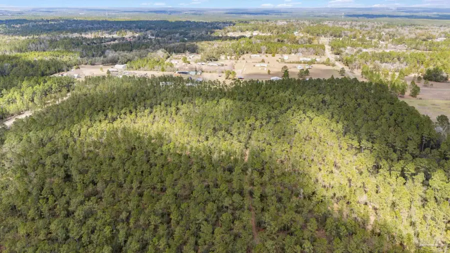 Lot #1 Bermuda Dr, Seminole, AL 36574 - #2