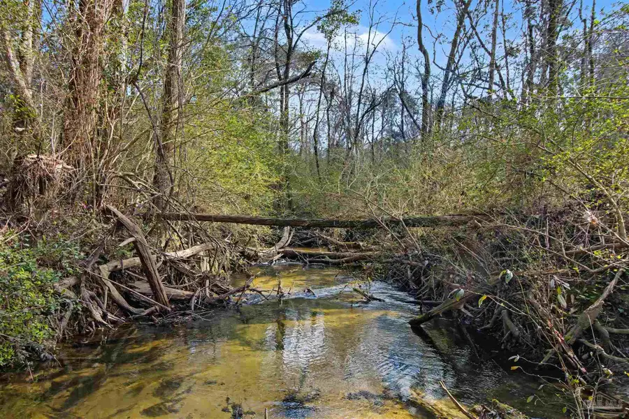 10736 County Rd 83, Elberta, AL 36530 - #2